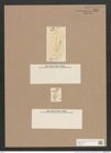 Navicula lyra Ehr. (de-Toni-Nr.: Genus 1, Species 327) Zeichnungen Sammlung Grunow Nr. 732 (NHMW-BOT-W0367117)